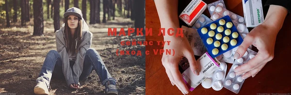 хмурый Козловка
