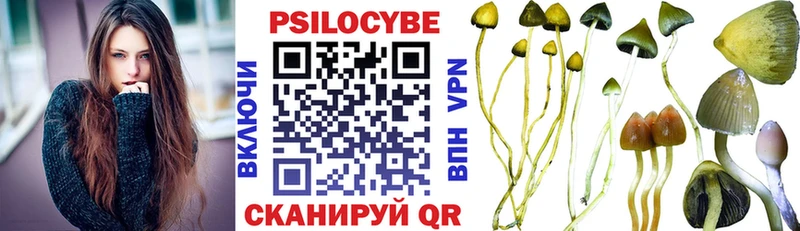 Галлюциногенные грибы прущие грибы  Купить  Ейск 