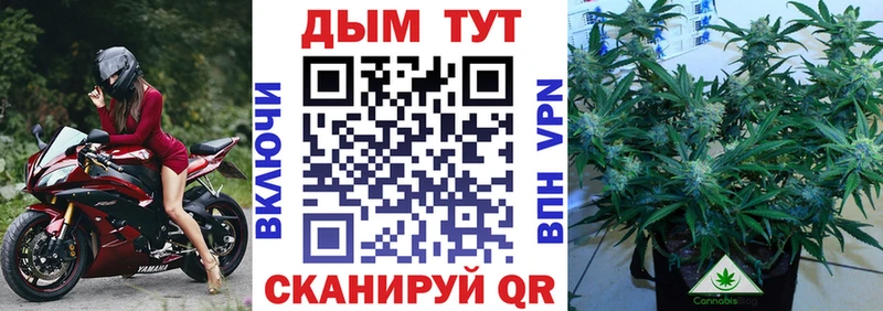 МАРИХУАНА Amnesia Ейск